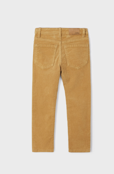 Basic Slim Fit Corduroy Pants| Almond | 537