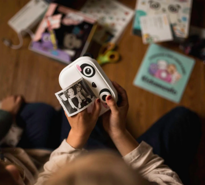 Model P Camera | Panda
