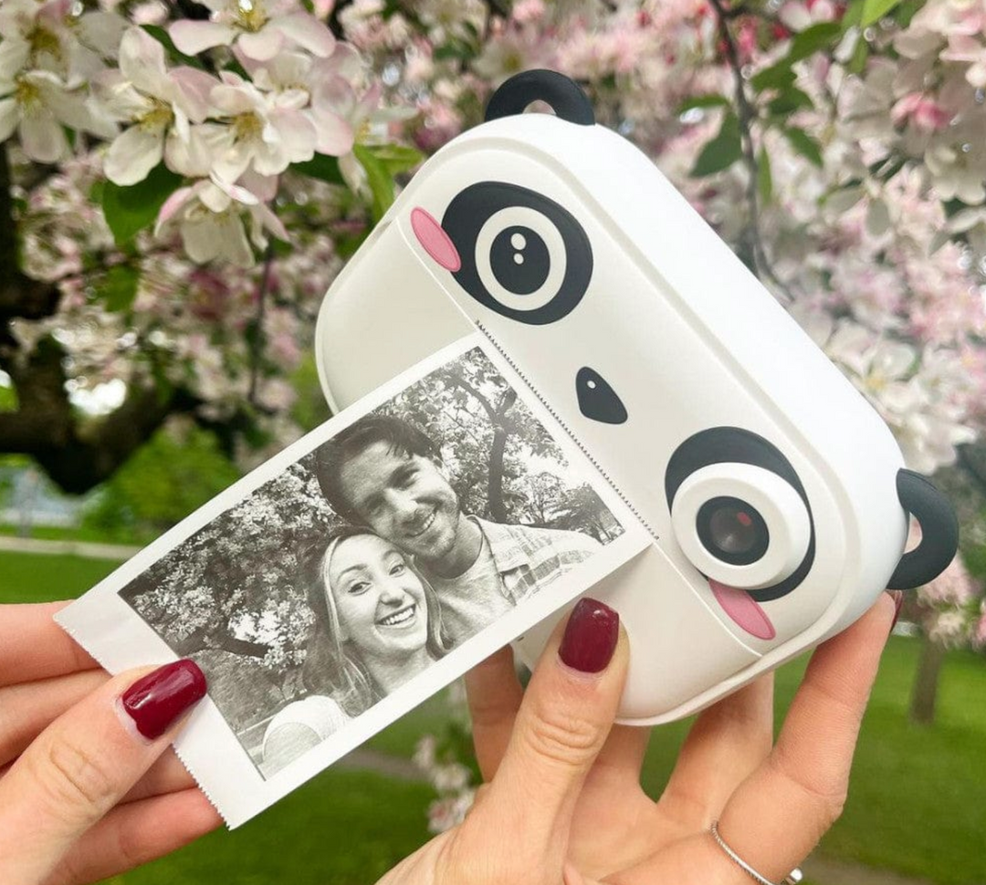 Model P Camera | Panda