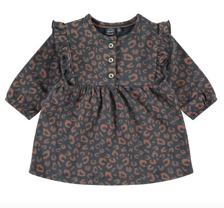Baby Girl Long Sleeve Dress | Iron Print