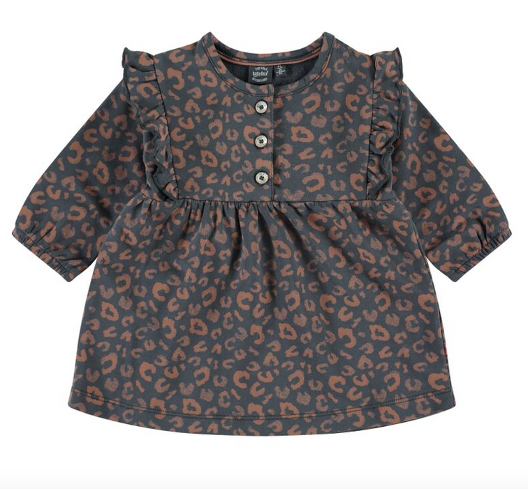 Baby Girl Long Sleeve Dress | Iron Print