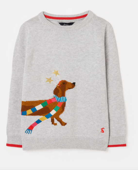 Cracking Christmas Sweater | Festive Dog