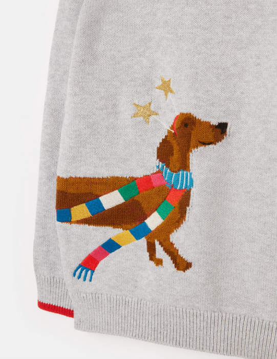 Cracking Christmas Sweater | Festive Dog