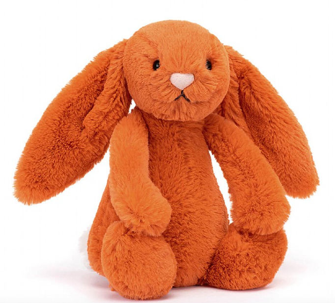 Bashful Tangerine Bunny