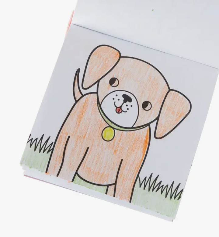 Carry Along Crayon and Coloring Book Kit | Pet Pals