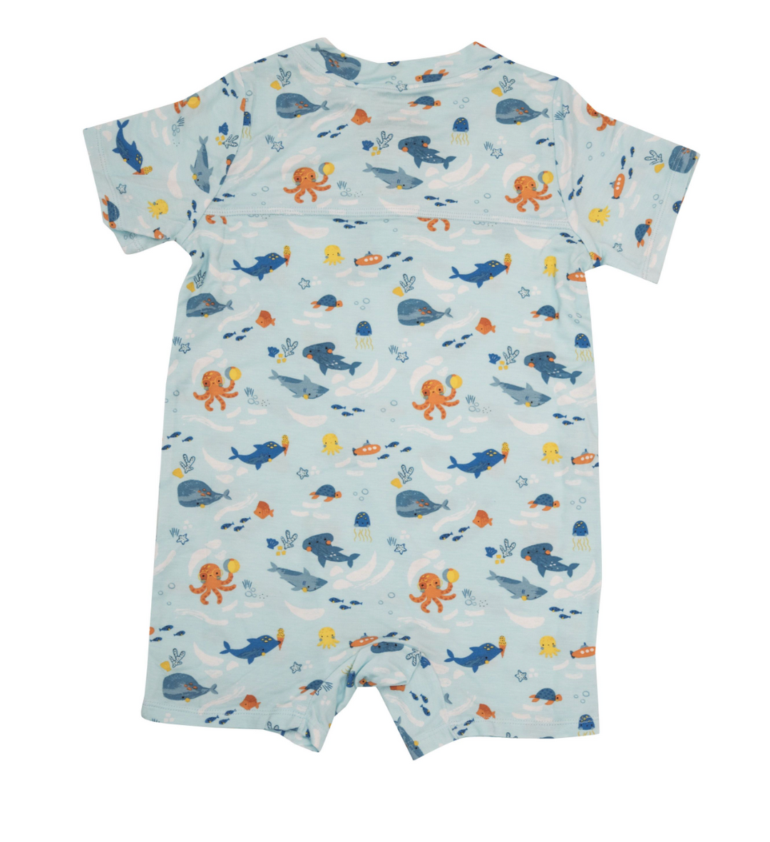 Henley Shortall | Playful Sealife
