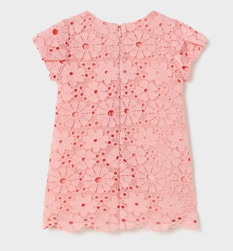 Embroidered Lace Dress | Blush | 1949