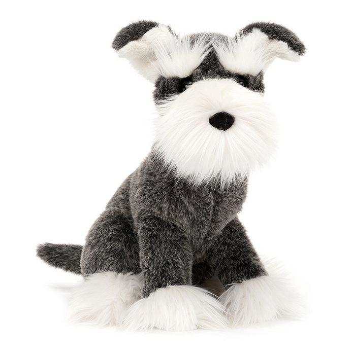 Hector Fox Terrier