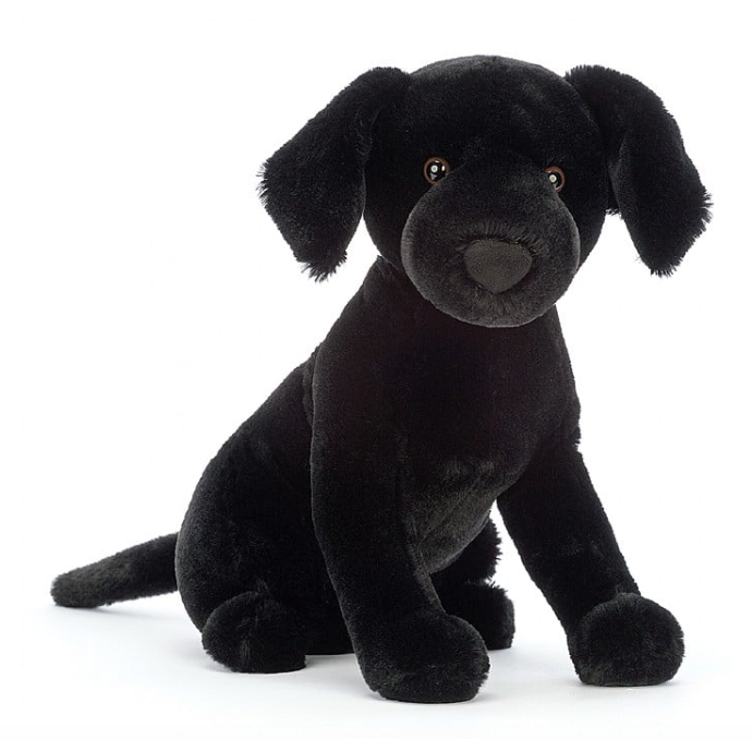 Pippa Black Labrador
