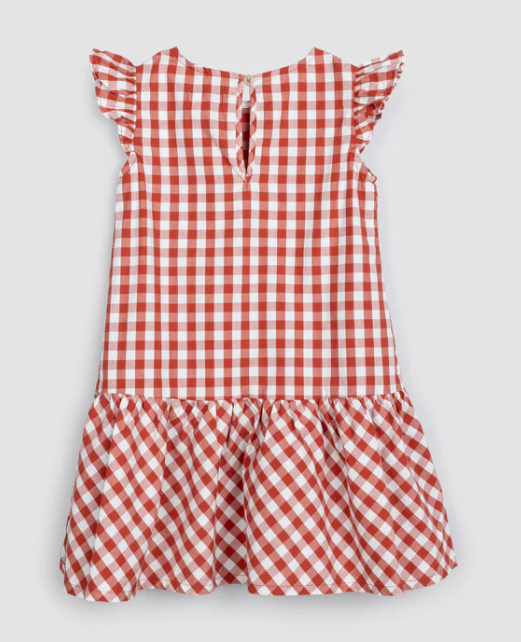 Girls Sleeveless Dress | Brick Gingham