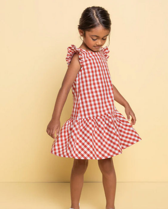 Girls Sleeveless Dress | Brick Gingham