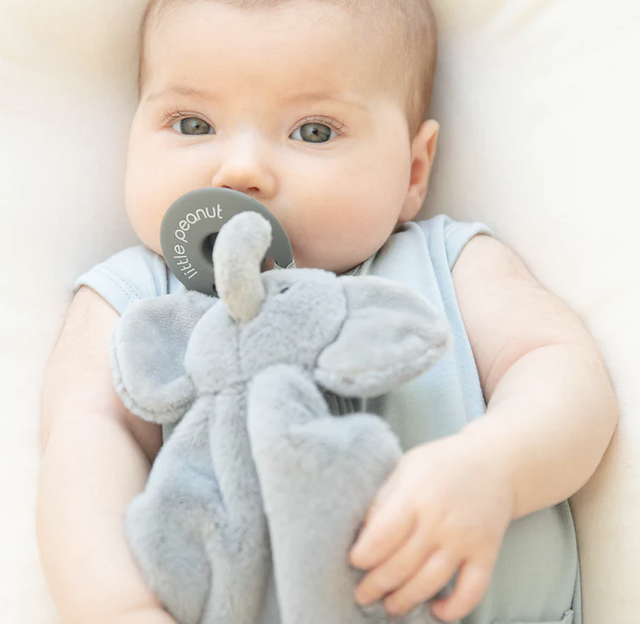 Bubbi Buddy | Elephant