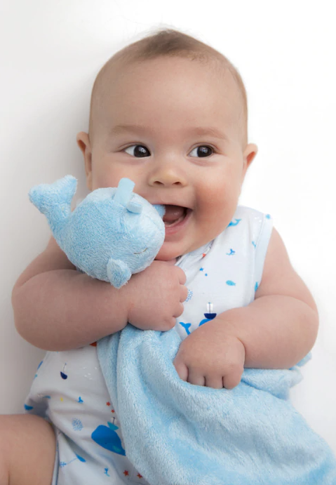 Blue Whale Lovey