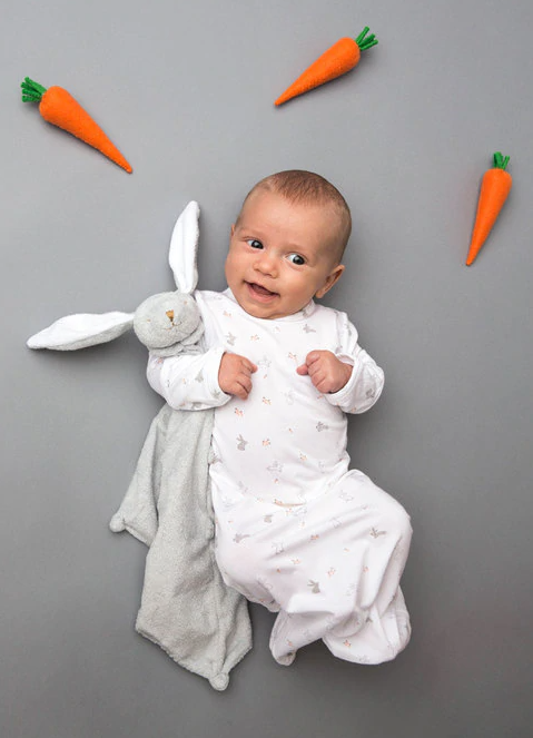 Grey Bunny Lovey