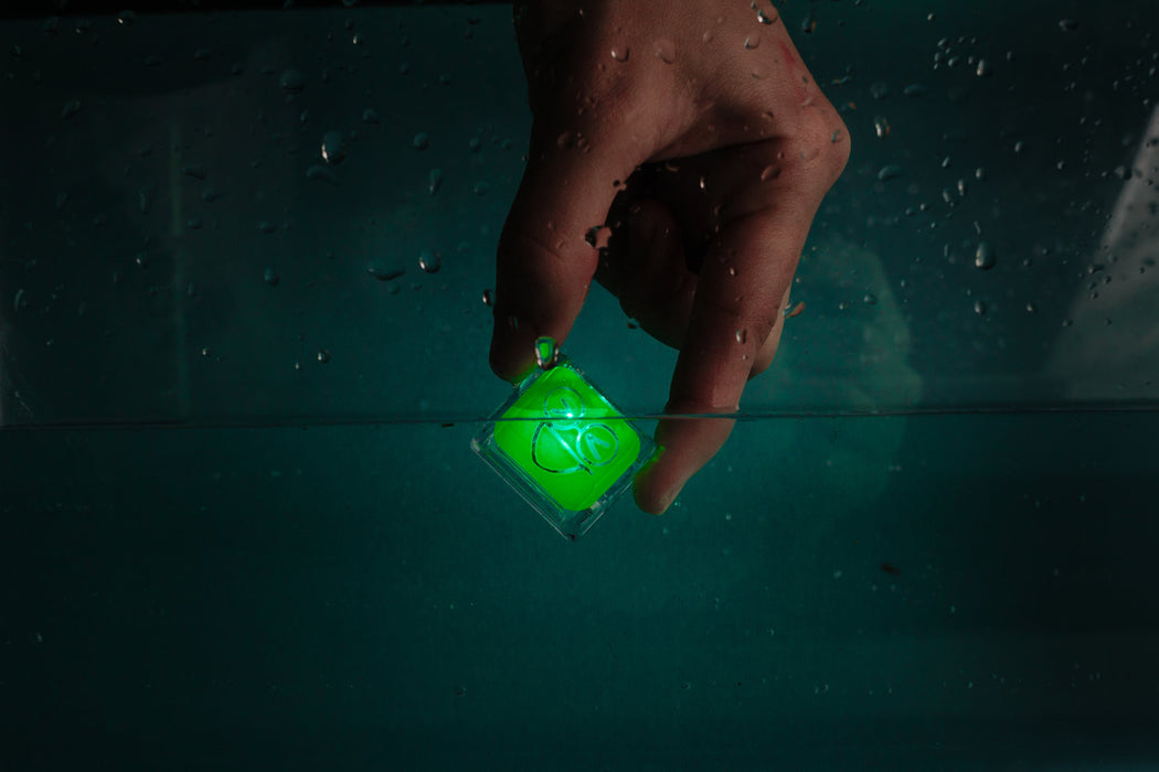 Glo Pals 4 Pack 