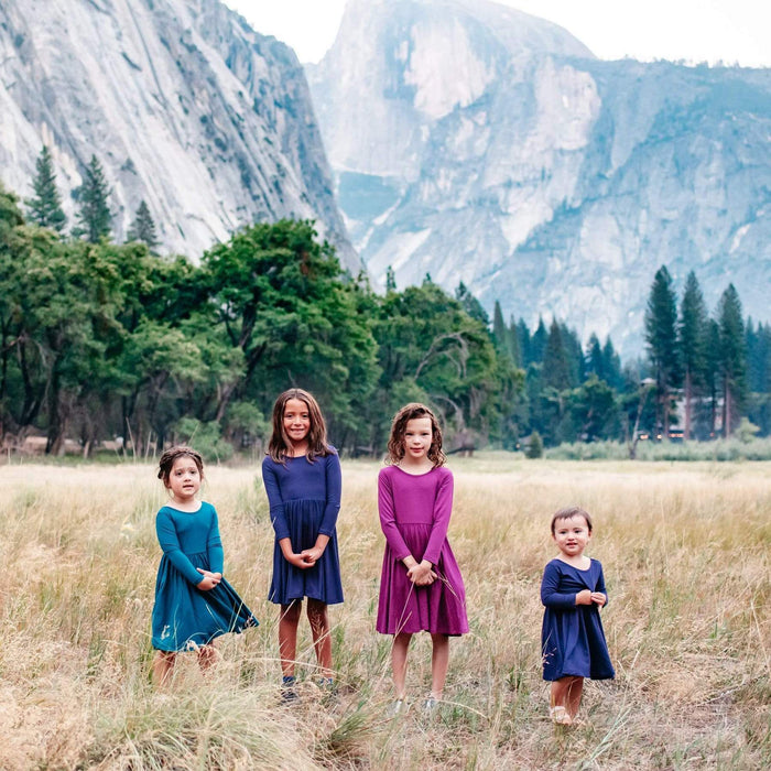 Long Sleeve Twirl Dress | Dahlia